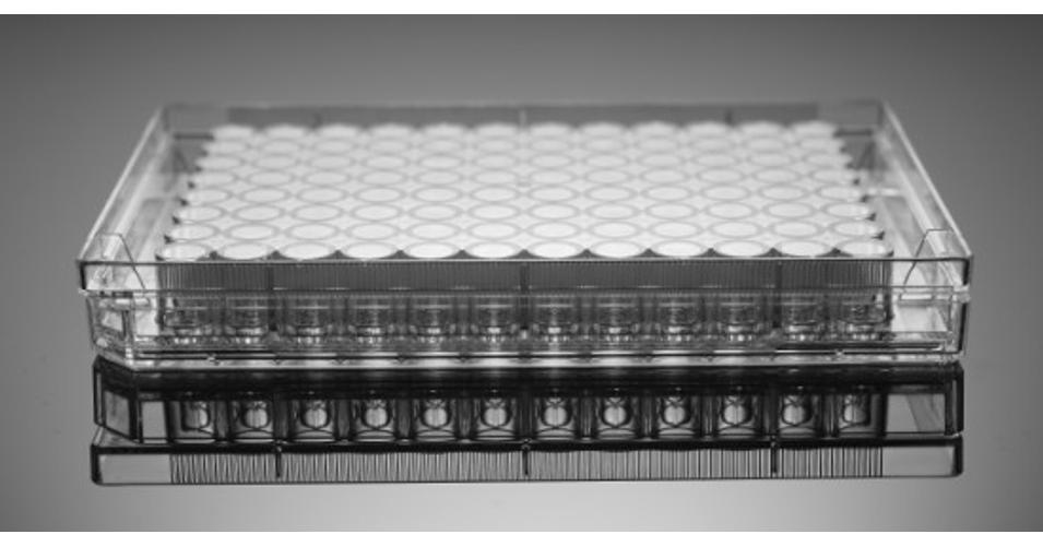 96os well plate Valakú aljjal, kezeletlen, Műanyag fogyóeszközök